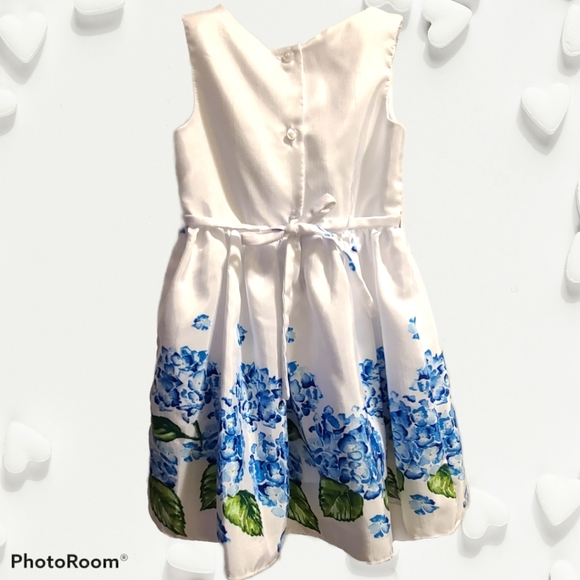 🪗2/$25 Sz6 Sweet Heart Rose dress - Picture 2 of 9